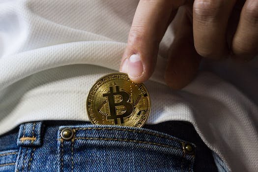Quel investissement en ligne faire ?