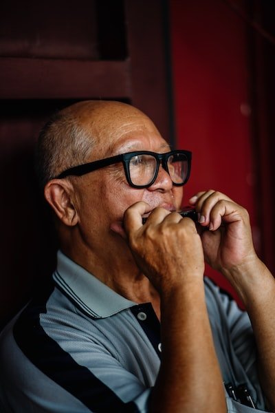 Les avantages de faire des cours d'harmonica en ligne